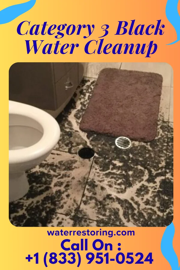 Category 3 Black Water Cleanup in Gadsden, TN